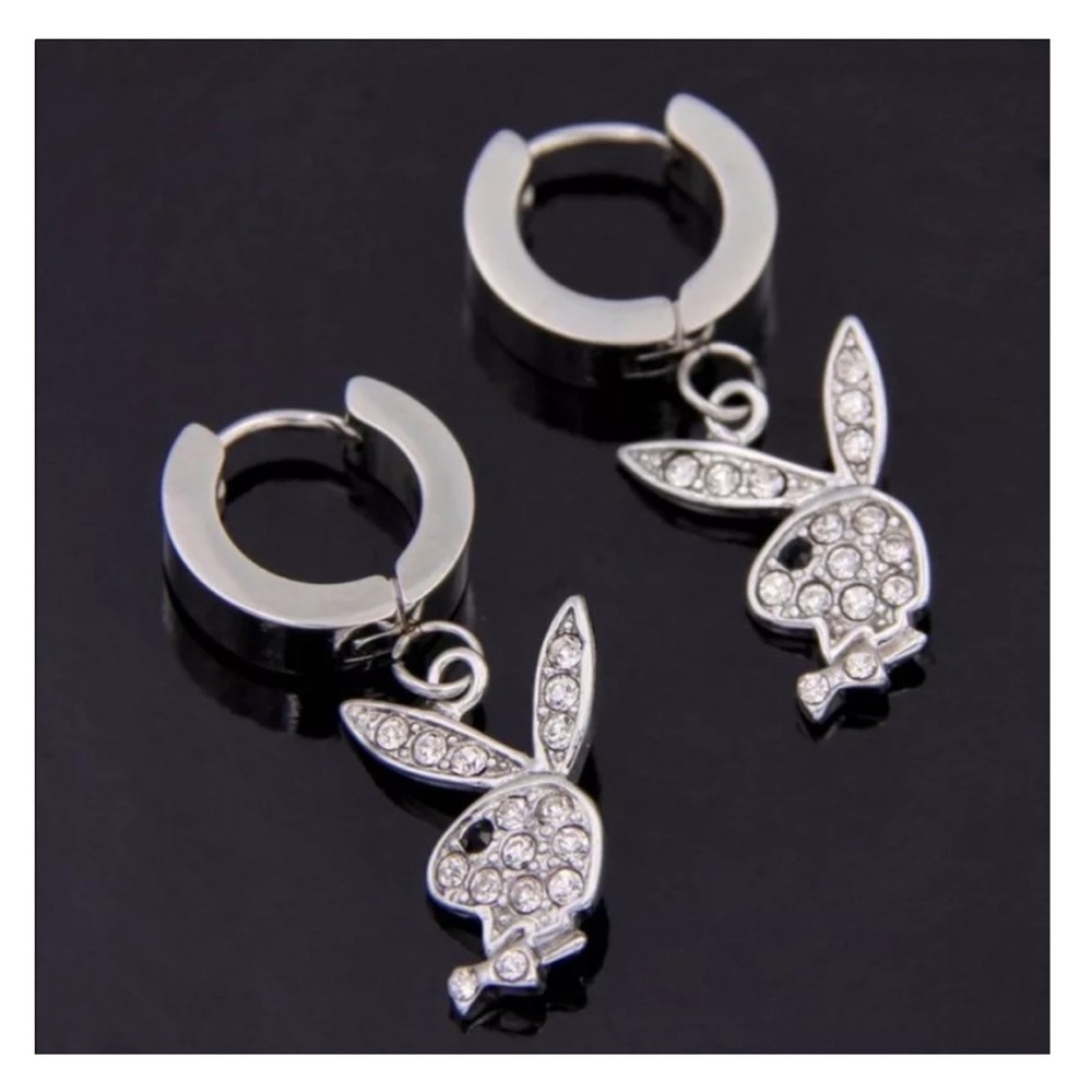 PlayBoy Earrings Silver Sparkly